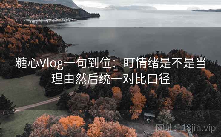 糖心Vlog一句到位：盯情绪是不是当理由然后统一对比口径